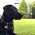 Ann Mahoney Foster's profile image