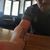 Andrew Cerrato's profile image