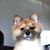 Patrick Reilly's profile image