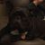Eric Weder's profile image