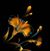 Clayton N Kristyn Haina's profile image