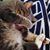 Nancy Garcia's profile image