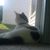 Bibbles Worth's profile image