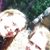 Margaret Shamel Adam's profile image