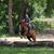 Diana Sumrall's profile image