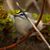 David Bialik's profile image