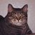 Gale Hartel's profile image