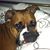 Melody Ley's profile image