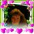 Janis Underwood's profile image