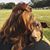Hayley 'Stretch' Larson's profile image