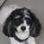Darlene Logan's profile image