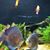 Haydee Baylon's profile image