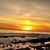 Maribel Cruces's profile image