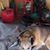 Mary Ann Beuke's profile image