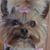 Janice Sleep's profile image