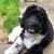 Lisa Tom German's profile image
