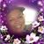Terrie Patterson-Truett's profile image