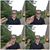 Samuel A. Bonet Olivencia's profile image