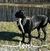 Colleen Horn Easterbrook's profile image