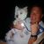 Roger DeZinno's profile image