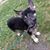 Irene Morris's profile image