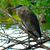 Anita Gimre's profile image