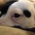 Rissa Salem's profile image