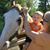 Diane Herron's profile image
