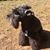 Leslie Peck McNely's profile image