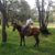 Jesús Cabezud's profile image