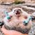 Kathy Hawley-Costa's profile image