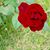 Maxine Jannick's profile image