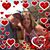 Beth St Clair's profile image