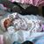 Kristy Cairns's profile image