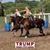 Amanda Westergaard's profile image