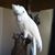 Cindy Nelson's profile image