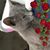 Tina Plew's profile image