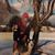 Aric Robert Wilson's profile image
