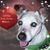 David Tewell's profile image