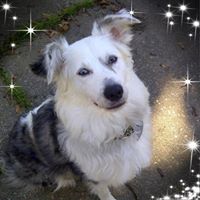 Kimberly Mockler's profile image