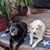 Leona Hower's profile image