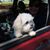 Cheryl Dooley Haler's profile image
