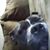 Leslie McCraw Bryant's profile image