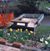 Nancy Wurtz-Lake's profile image