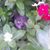 Jennifer Lea Butler's profile image