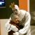 LouAnn Anderson Timochenko's profile image