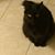Diane Sterner's profile image