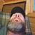 Todd Anderson's profile image