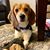 Beth Anne Nesbit Barnes's profile image