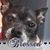 Heather Marie Solomon's profile image